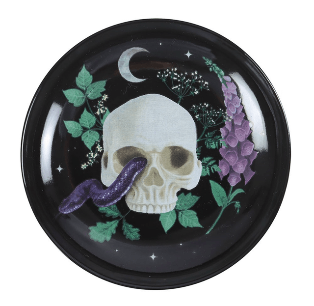Venom and vines skull trinket dish