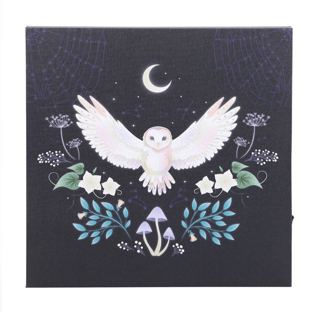 Night owl light up canvas 