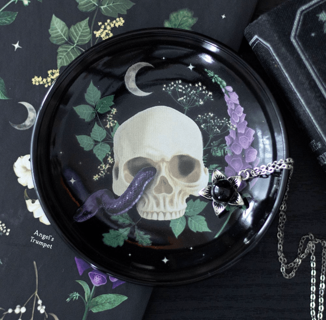 Venom and vines skull trinket dish