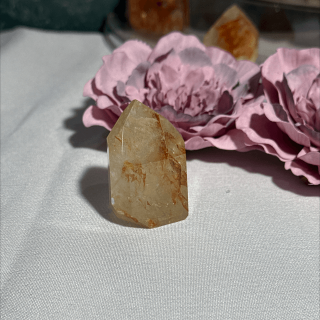 Brazilian golden healer with fire