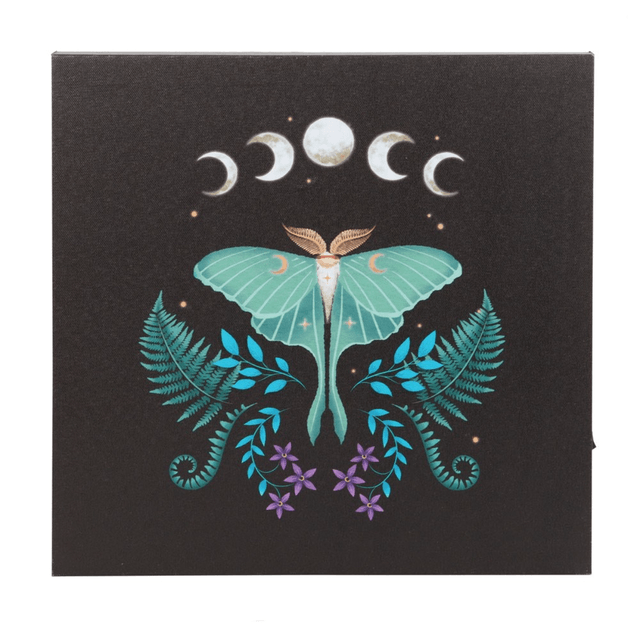Dark forest Luna moth light up canvas