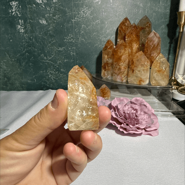 Brazilian golden healer with fire