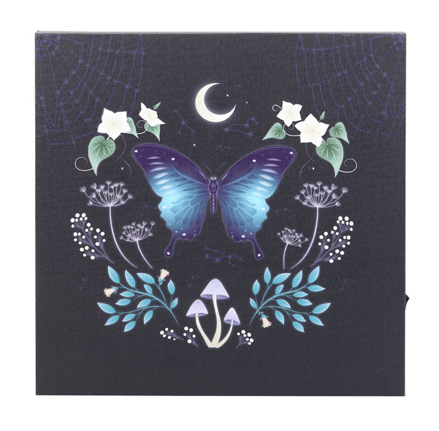 Midnight moth light up canvas