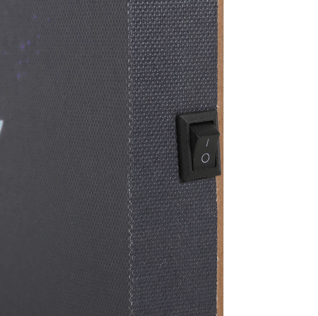 Midnight moth light up canvas