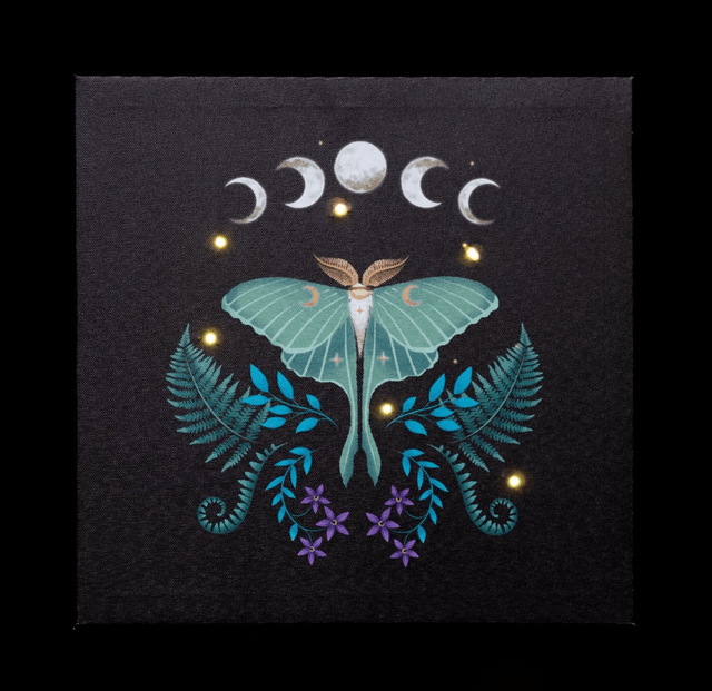 Dark forest Luna moth light up canvas