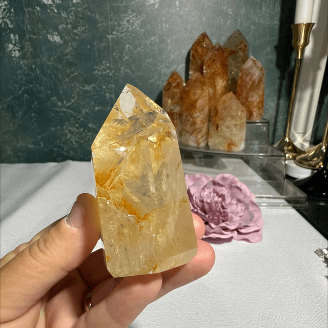 Brazilian golden healer 