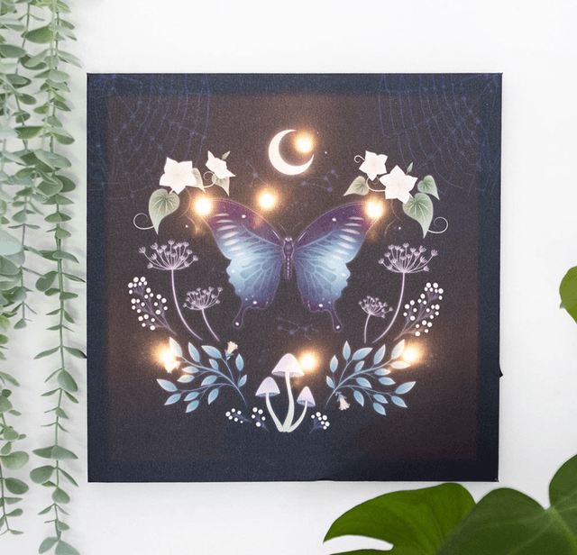 Midnight moth light up canvas