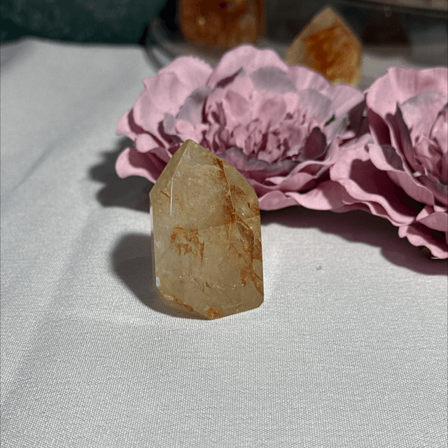 Brazilian golden healer with fire