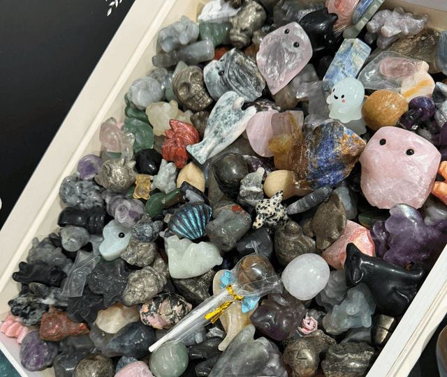 The minis scoop!