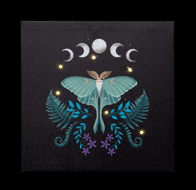 Dark forest Luna moth light up canvas